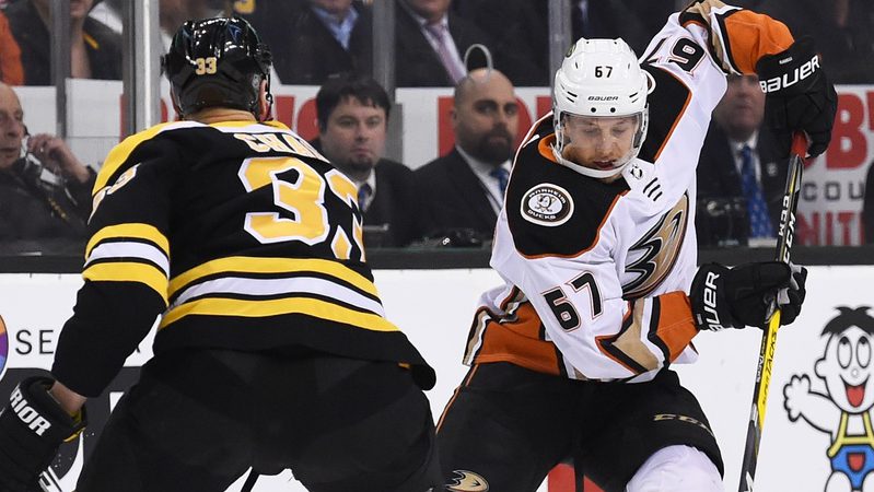Bruins