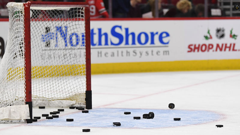 NHL net