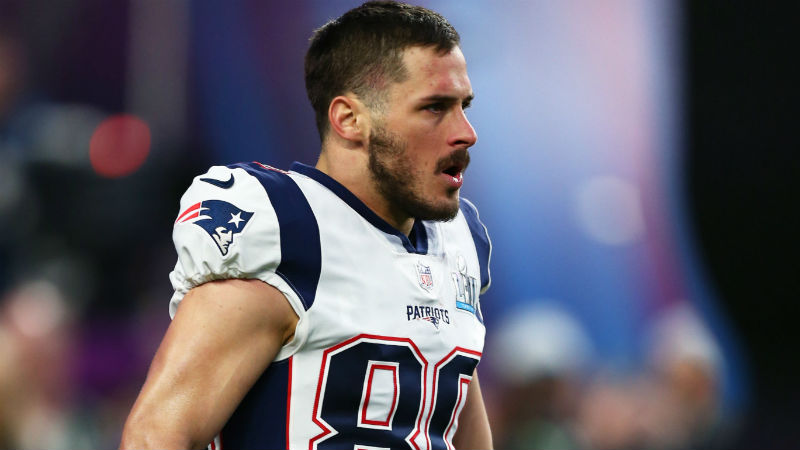 New England Patriots wide receiver Danny Amendola