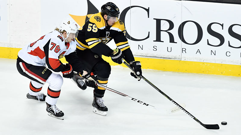Boston Bruins forward Tim Schaller