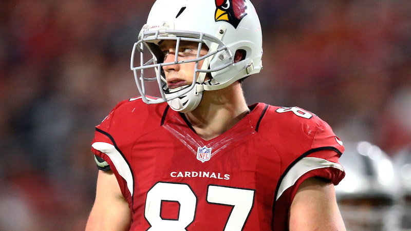 Patriots tight end Troy Niklas
