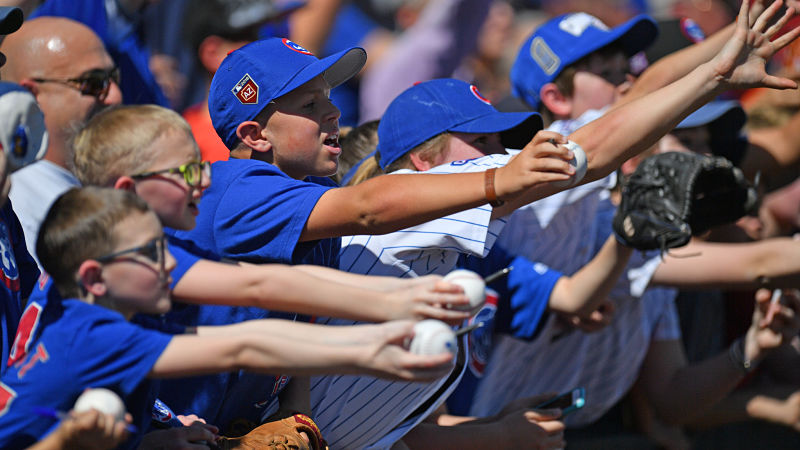Chicago Cubs fans