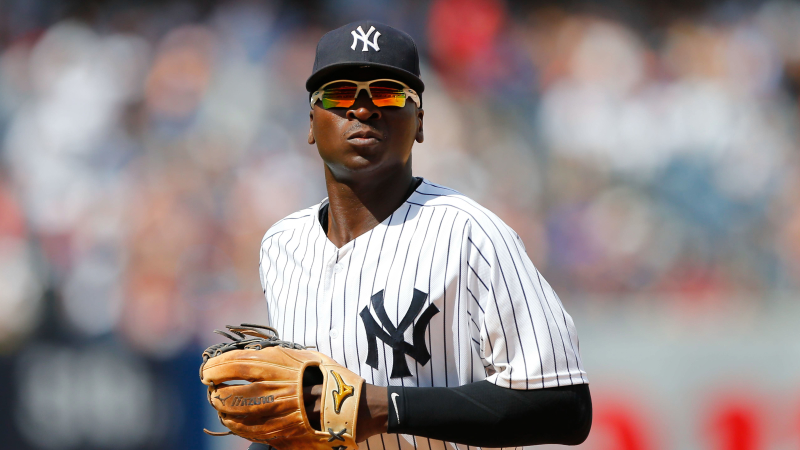 New York Yankees shortstop Didi Gregorius