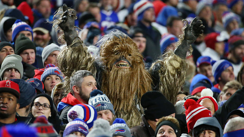 Buffalo Bills Fan