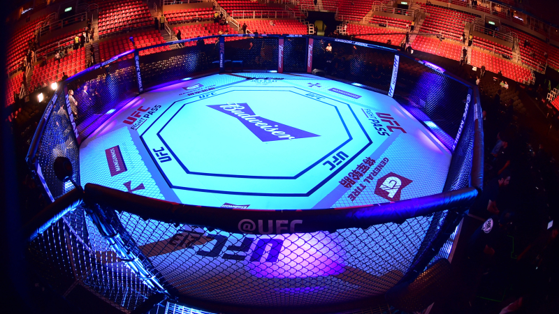 UFC octagon