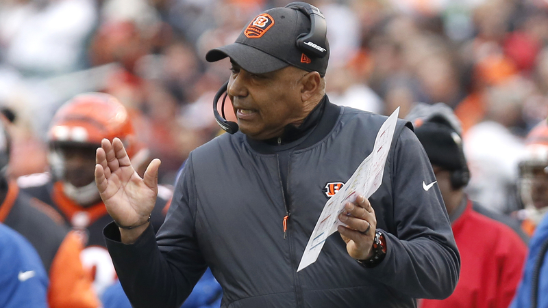 Cincinnati Bengals Head Coach Marvin Lewis
