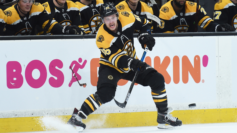 Boston Bruins Winger David Pastrnak