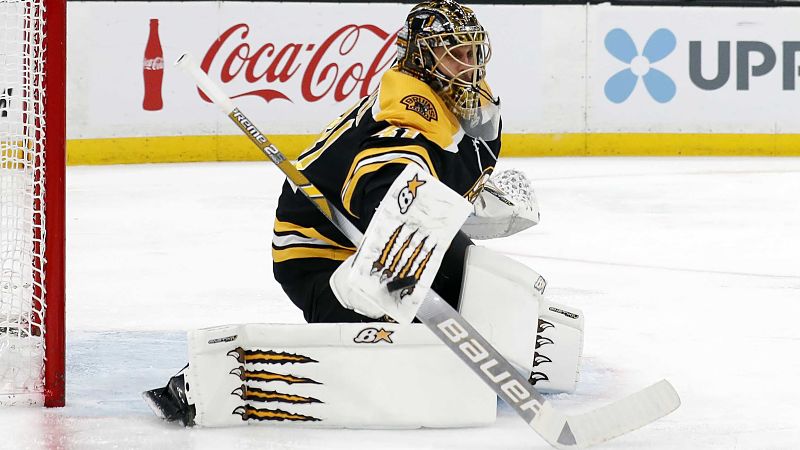 Boston Bruins Goalie Jaroslav Halak