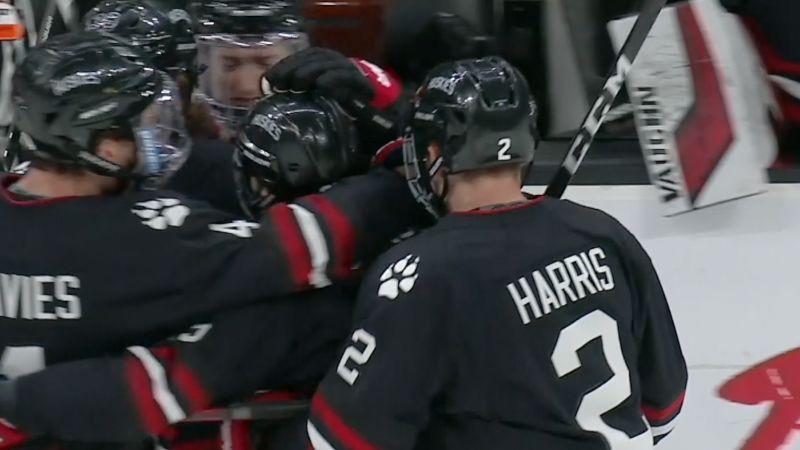 Northeastern Huskies Vs. Boston University Terriers
