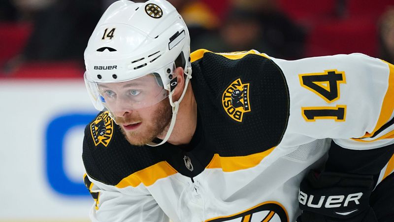 Boston Bruins winger Chris Wagner