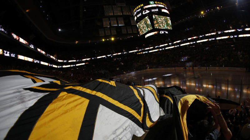 Boston Bruins fans