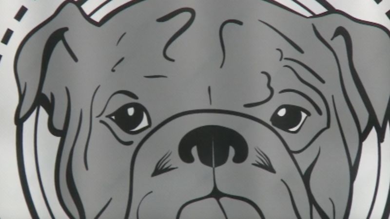 Boston Bulldogs