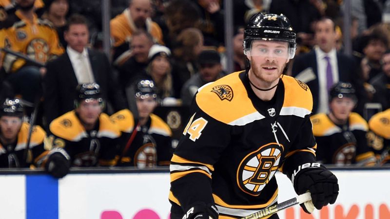 Boston Bruins winger Chris Wagner