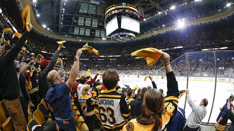 Bruins Crowd