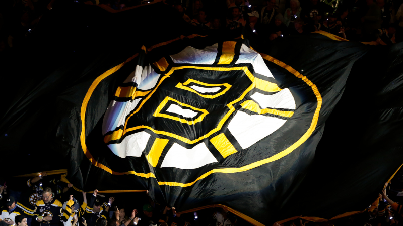 Boston Bruins fans