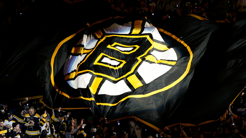 Boston Bruins Banner