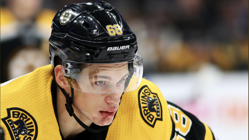 Boston Bruins' Jack Studnicka