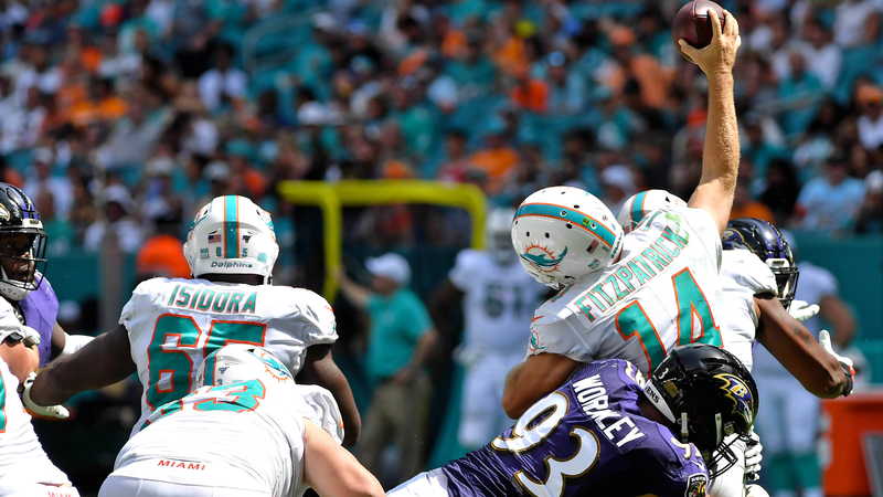 Miami Dolphins Ryan Fitzpatrick