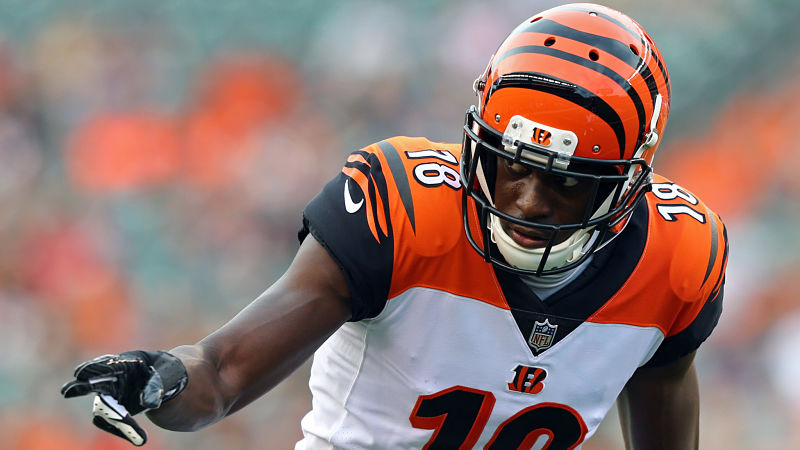 Cincinnati Bengals wide receiver