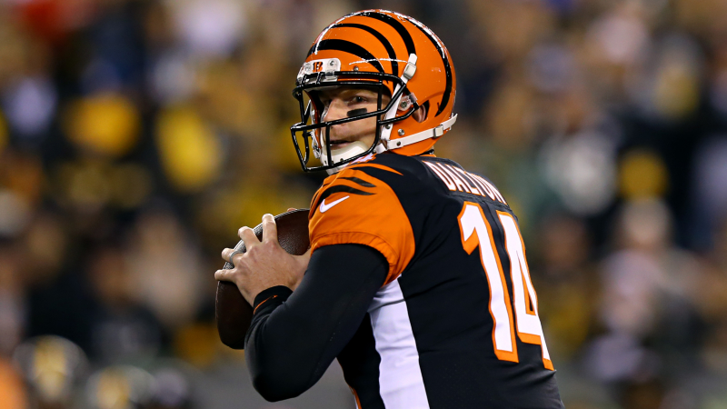 Cincinnati Bengals quarterback Andy Dalton