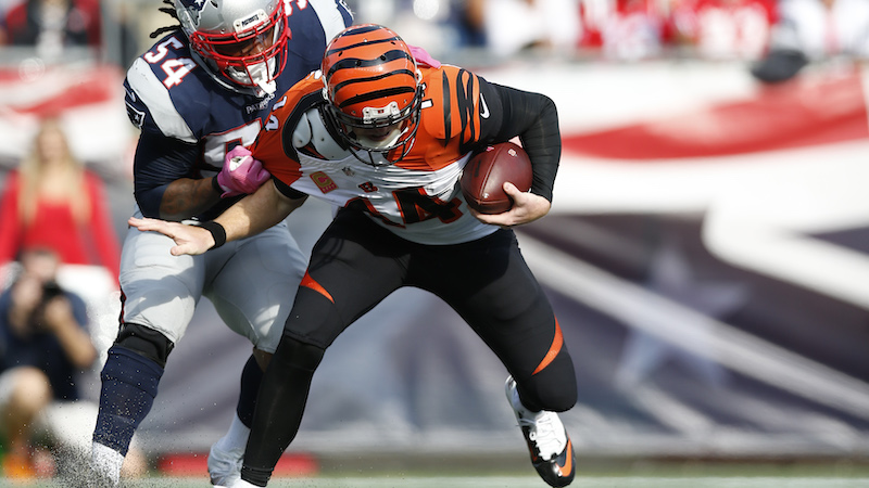 Bengals quarterback Andy Dalton