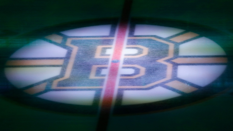 Boston Bruins logo