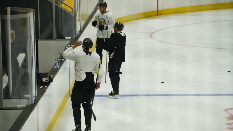 Bruins defensemen Zdeno Chara and John Moore; Bruins center Par Lindholm
