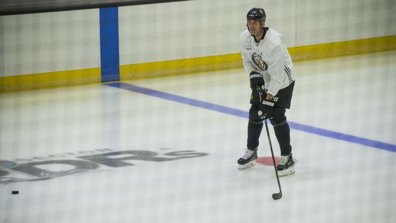 Boston Bruins defenseman Zdeno Chara