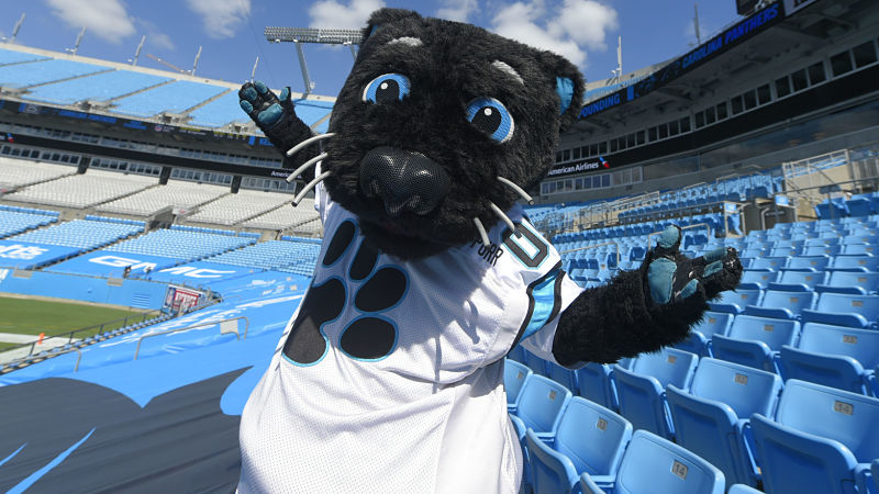 Carolina Panthers mascot