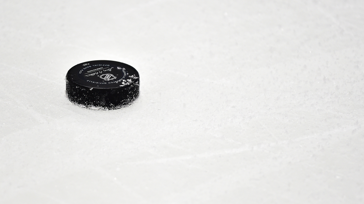 NHL Puck