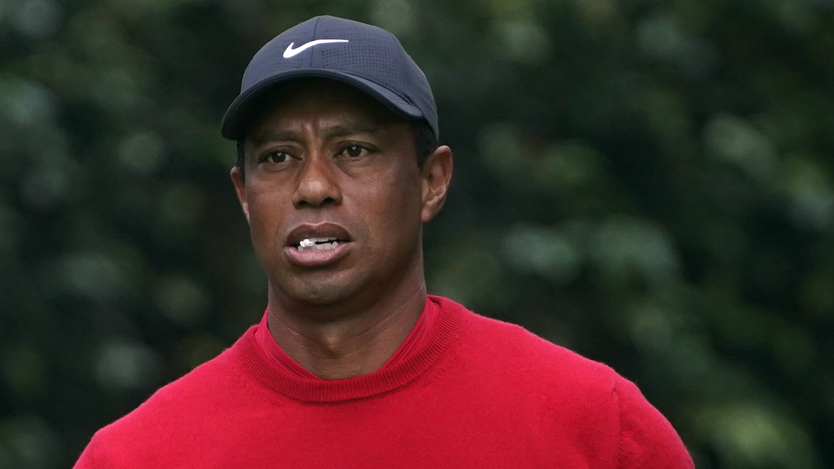 Professional golfer Tiger Woods