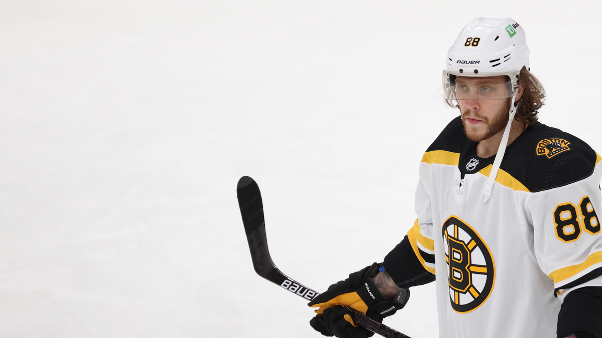 Boston Bruins Winger David Pastrnak