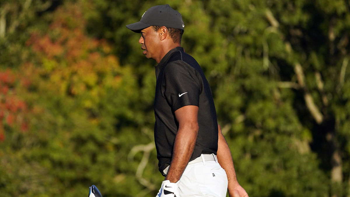 Pro golfer Tiger Woods