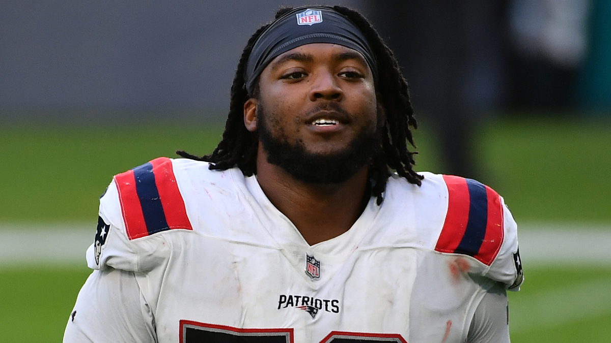 New England Patriots defensive tackle Adam Butler