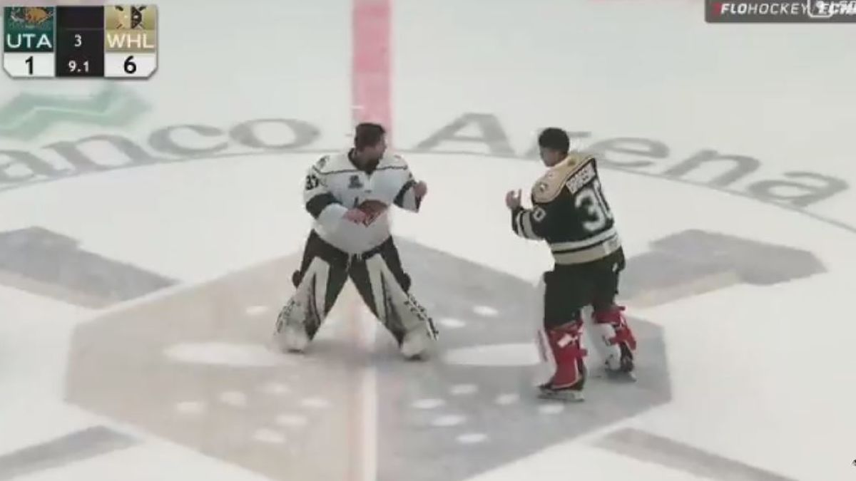 ECHL goalie fight