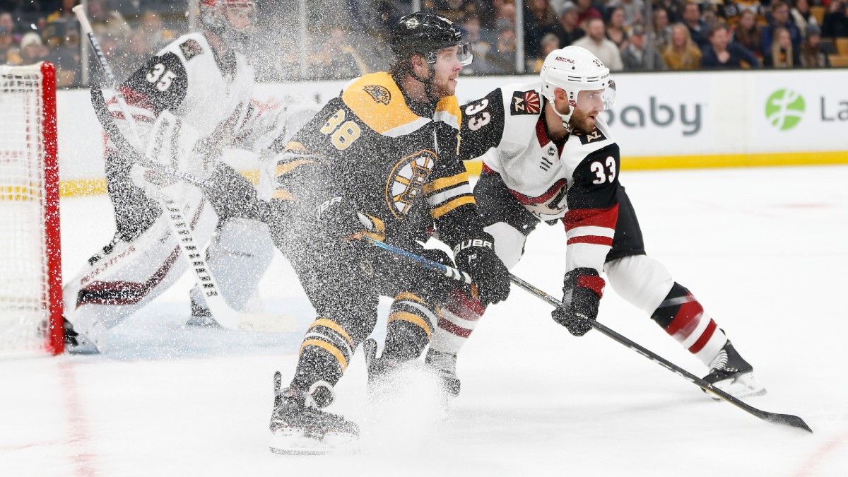 Boston Bruins winger David Pastrnak, Arizona Coyotes defenseman Alex Goligoski