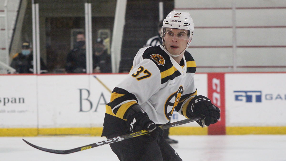 Boston Bruins defenseman Brady Lyle