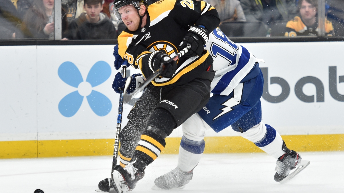 Boston Bruins right wing Ondrej Kase (28) and Tampa Bay Lightning left wing Ondrej Palat (18)