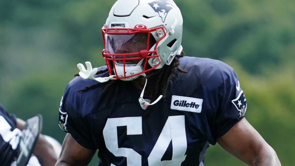 New England Patriots linebacker Dont'a Hightower