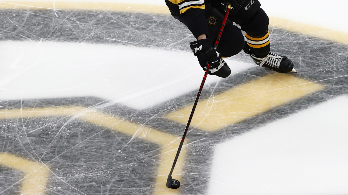 The Boston Bruins