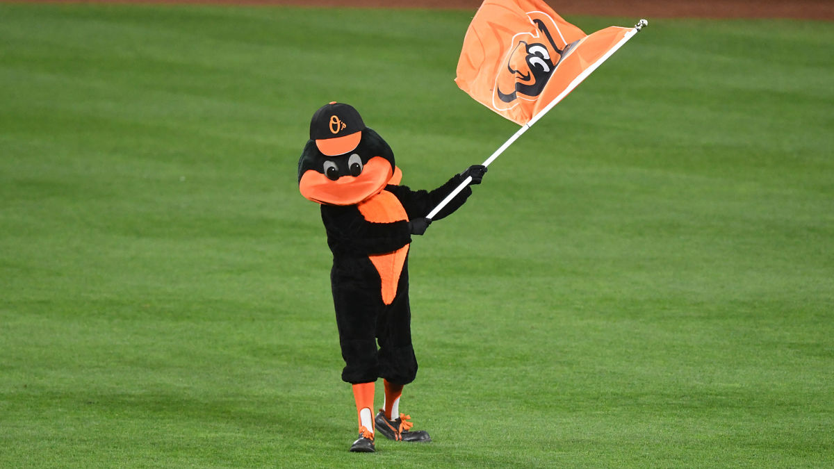 Baltimore Orioles mascot