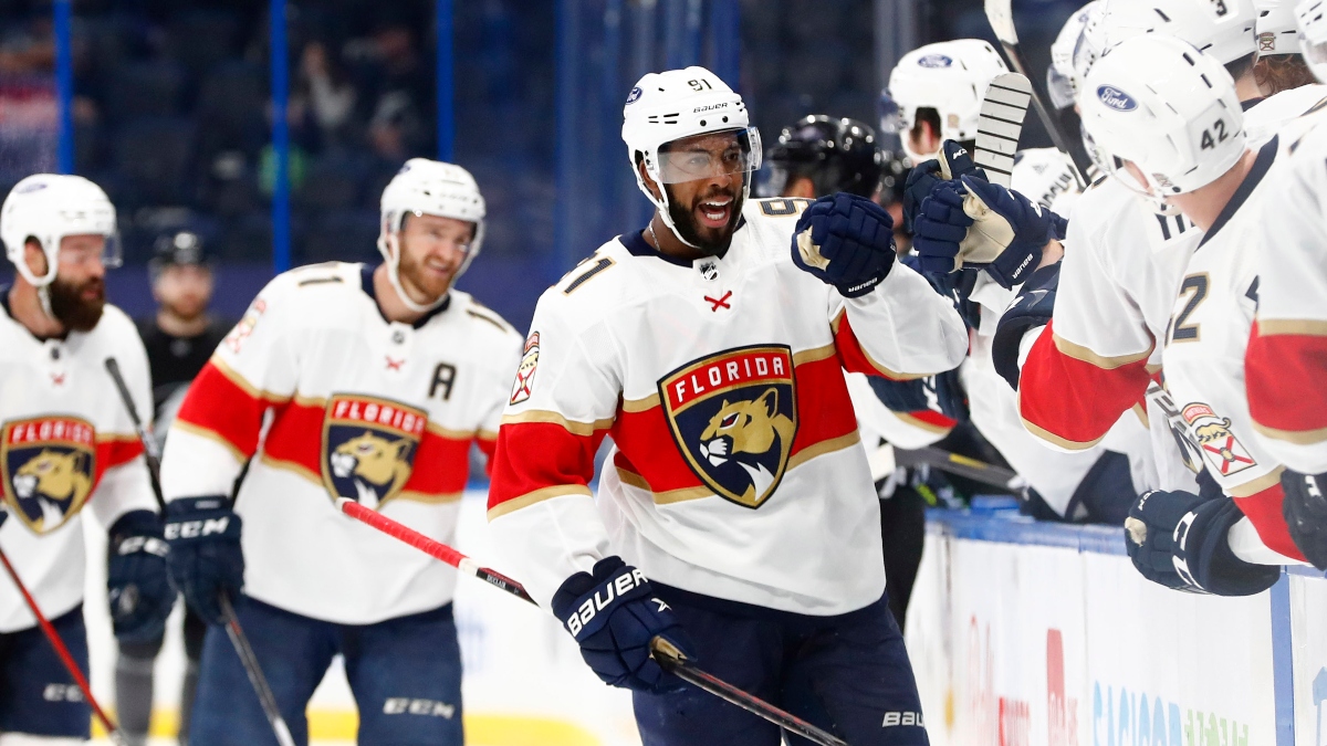 Florida Panthers left wing Anthony Duclair (91)