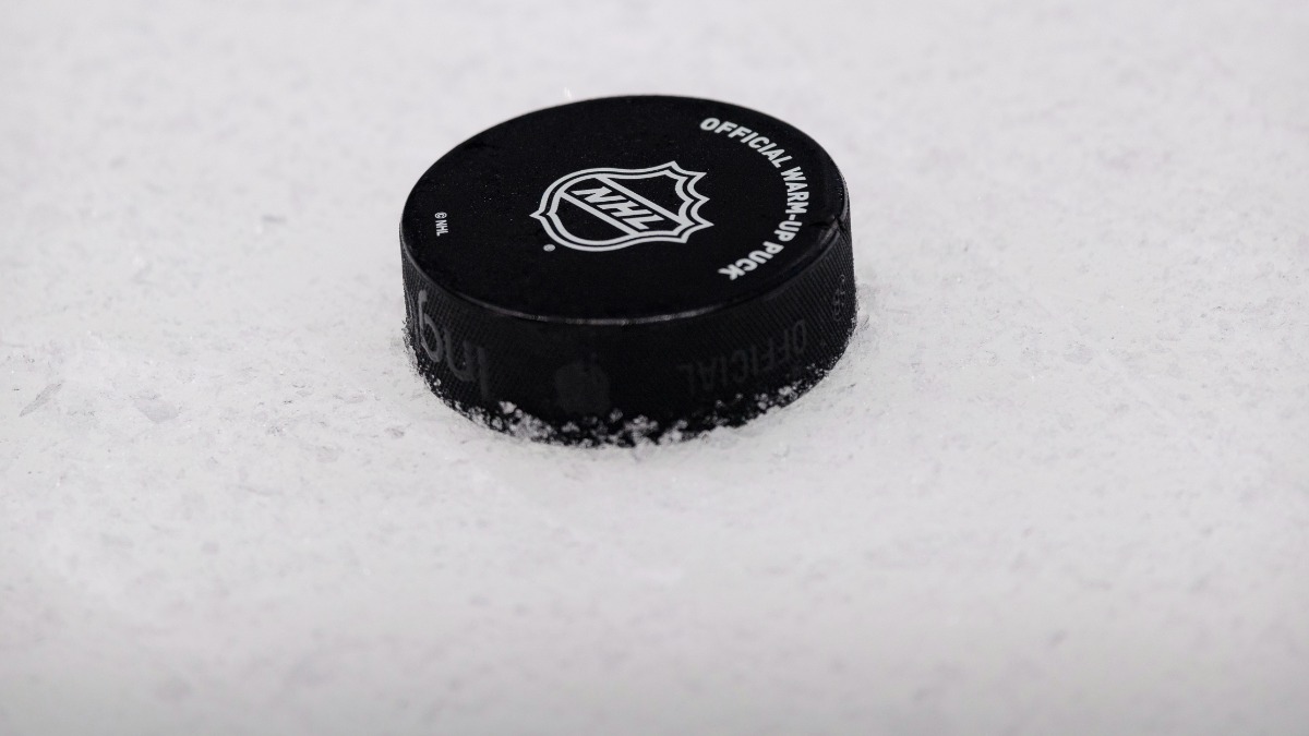 Hockey Puck