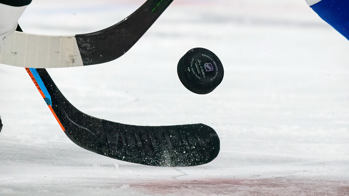 Hockey Puck