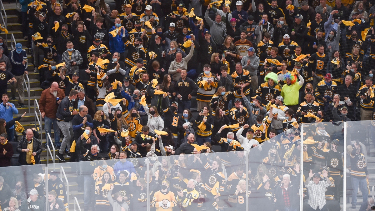 Boston Bruins fans