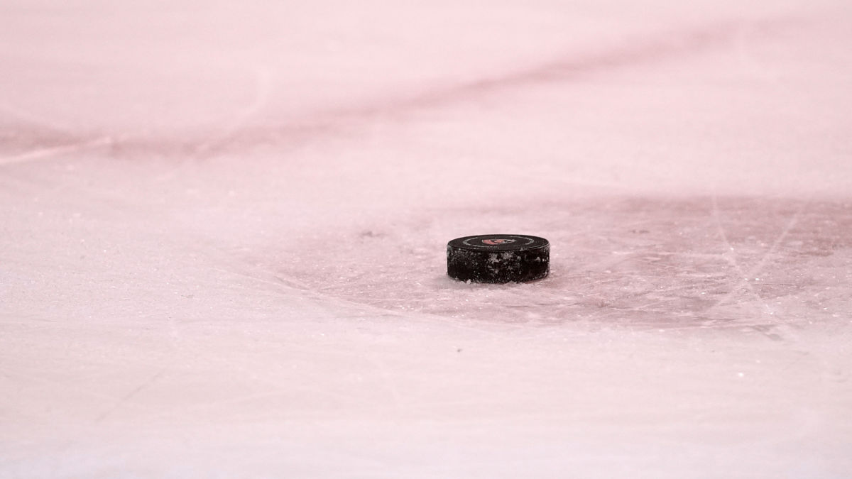 NHL puck