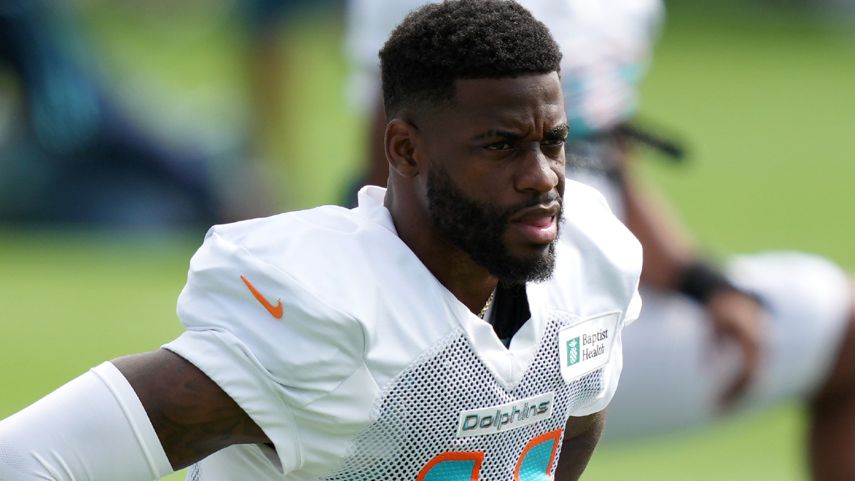 Miami Dolphins wide receiver DeVante Parker