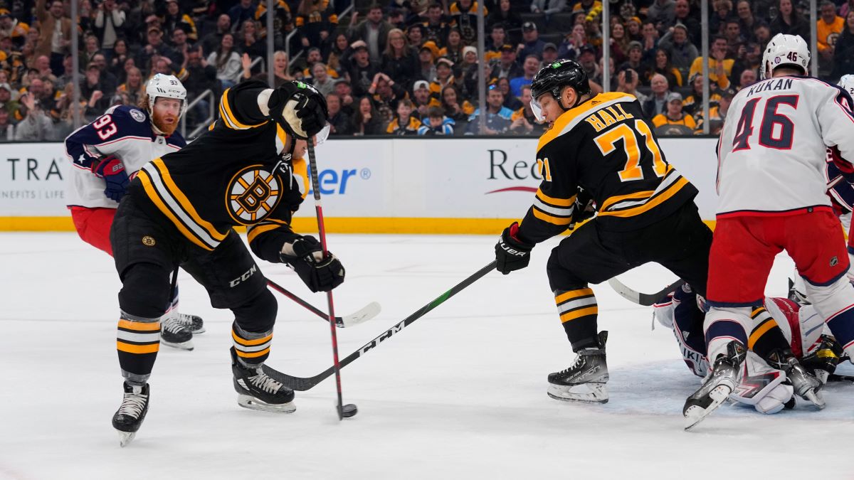 Boston Bruins center Erik Haula