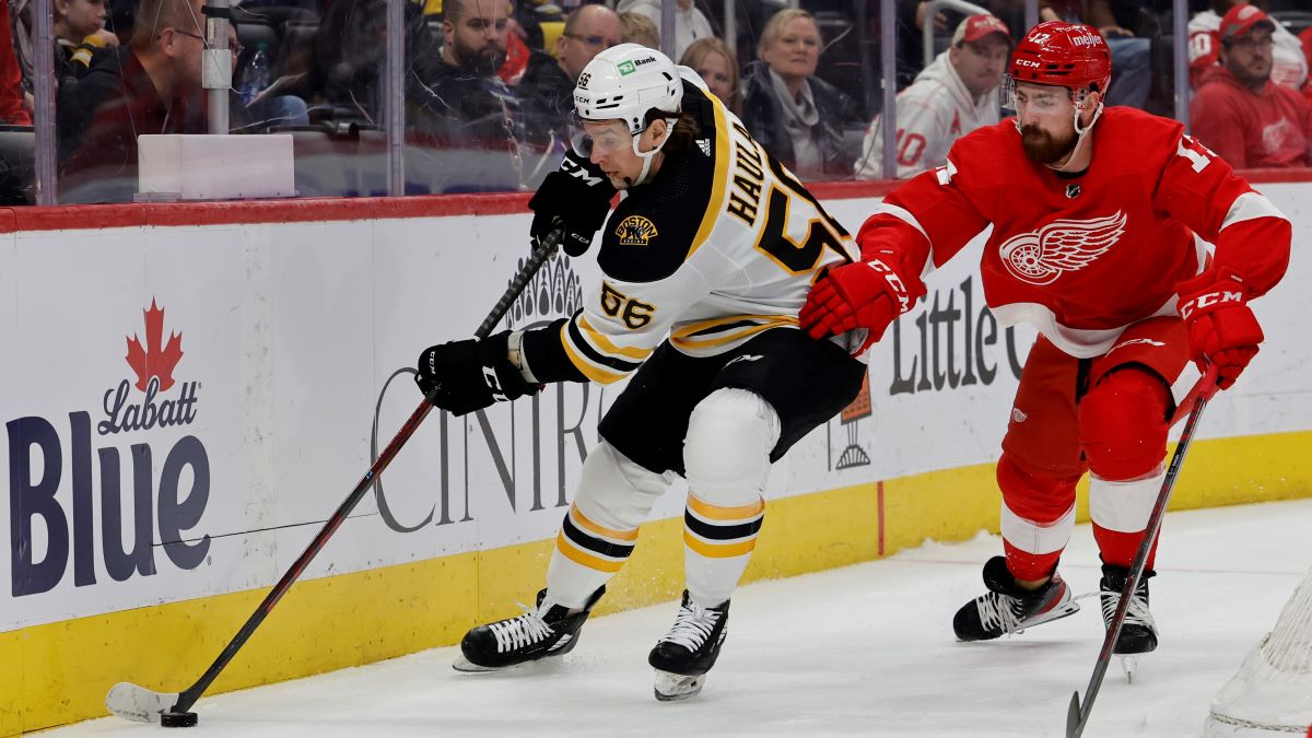 Boston Bruins center Erik Haula