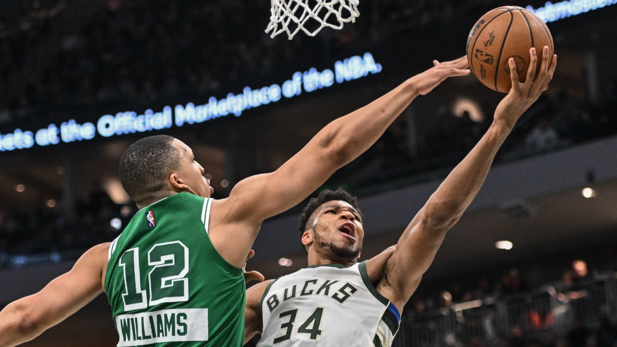 Milwaukee Bucks forward Giannis Antetokounmpo